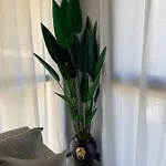 Sweet Apartment